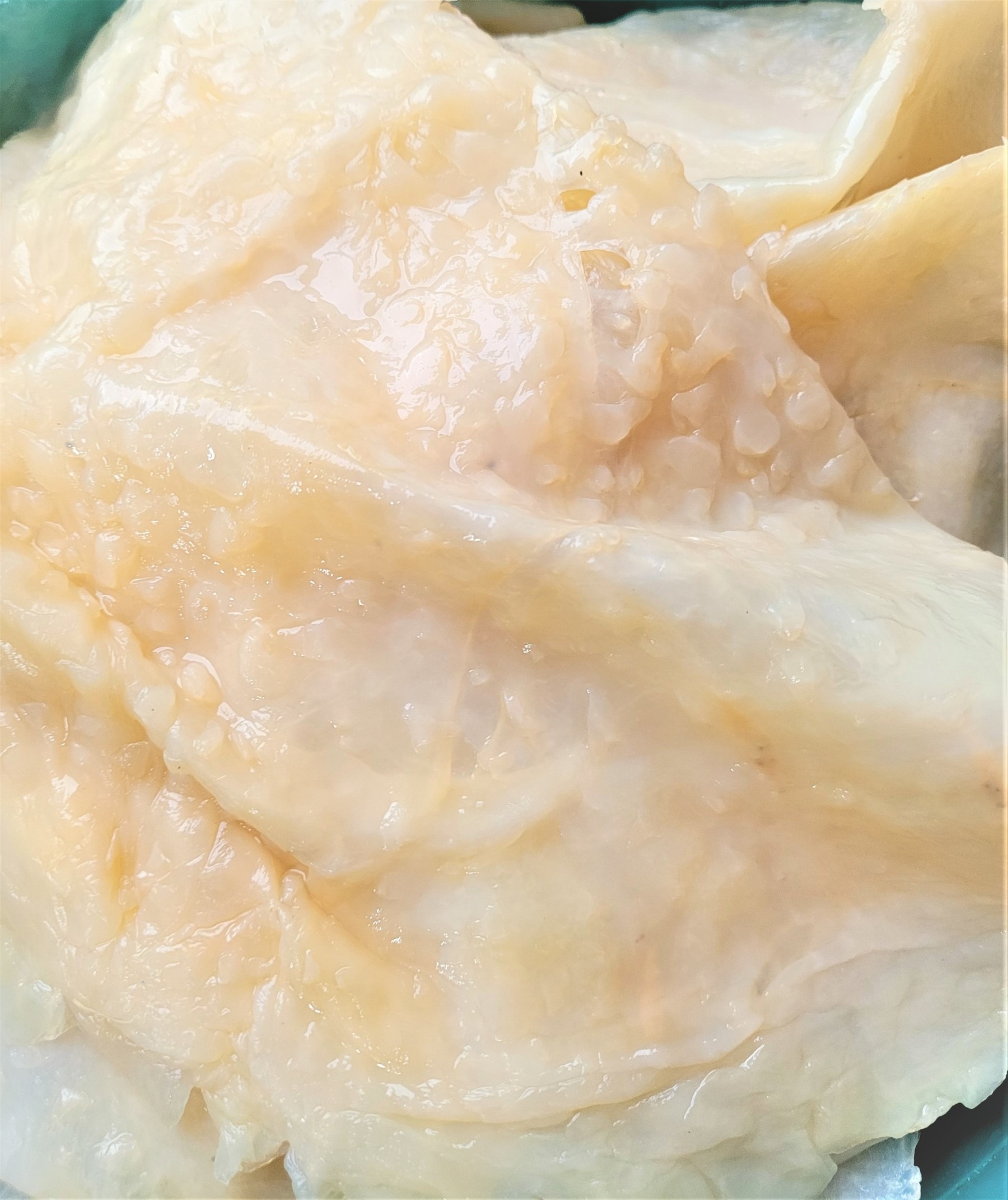 Jelly Fish Skin 海蜇皮