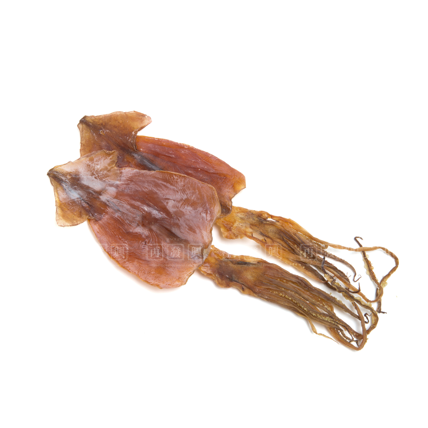 Argentina Dried Squid (XL)