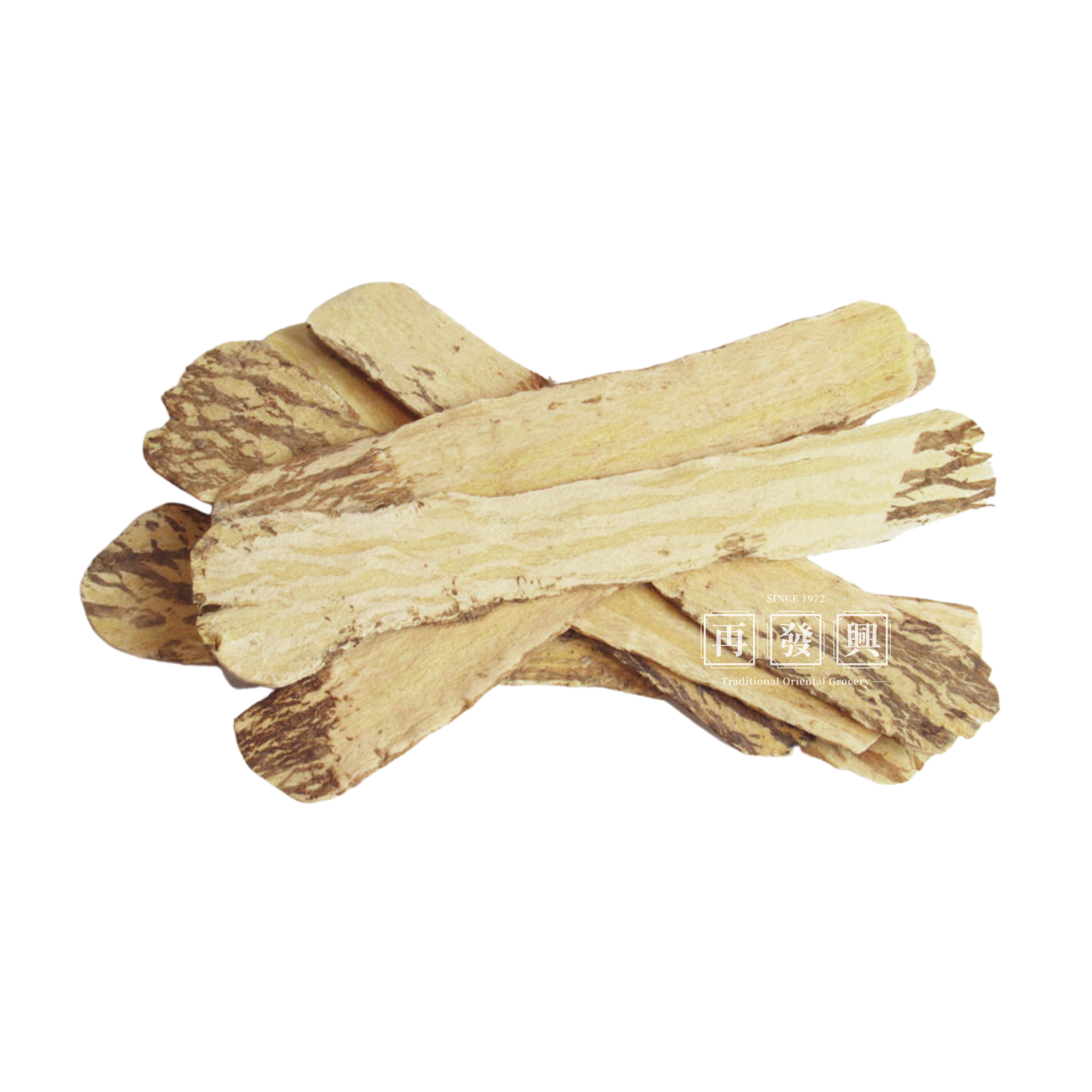 Small Astragulas Slices 4 inch