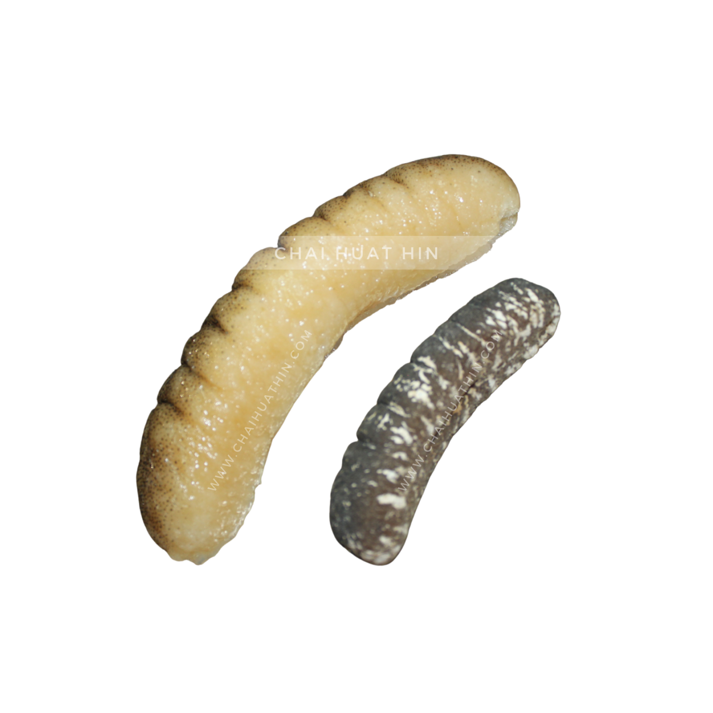 Soaked Maldives Sea Cucumber 浸马尔代夫秃参 500g [Frozen 冷冻]