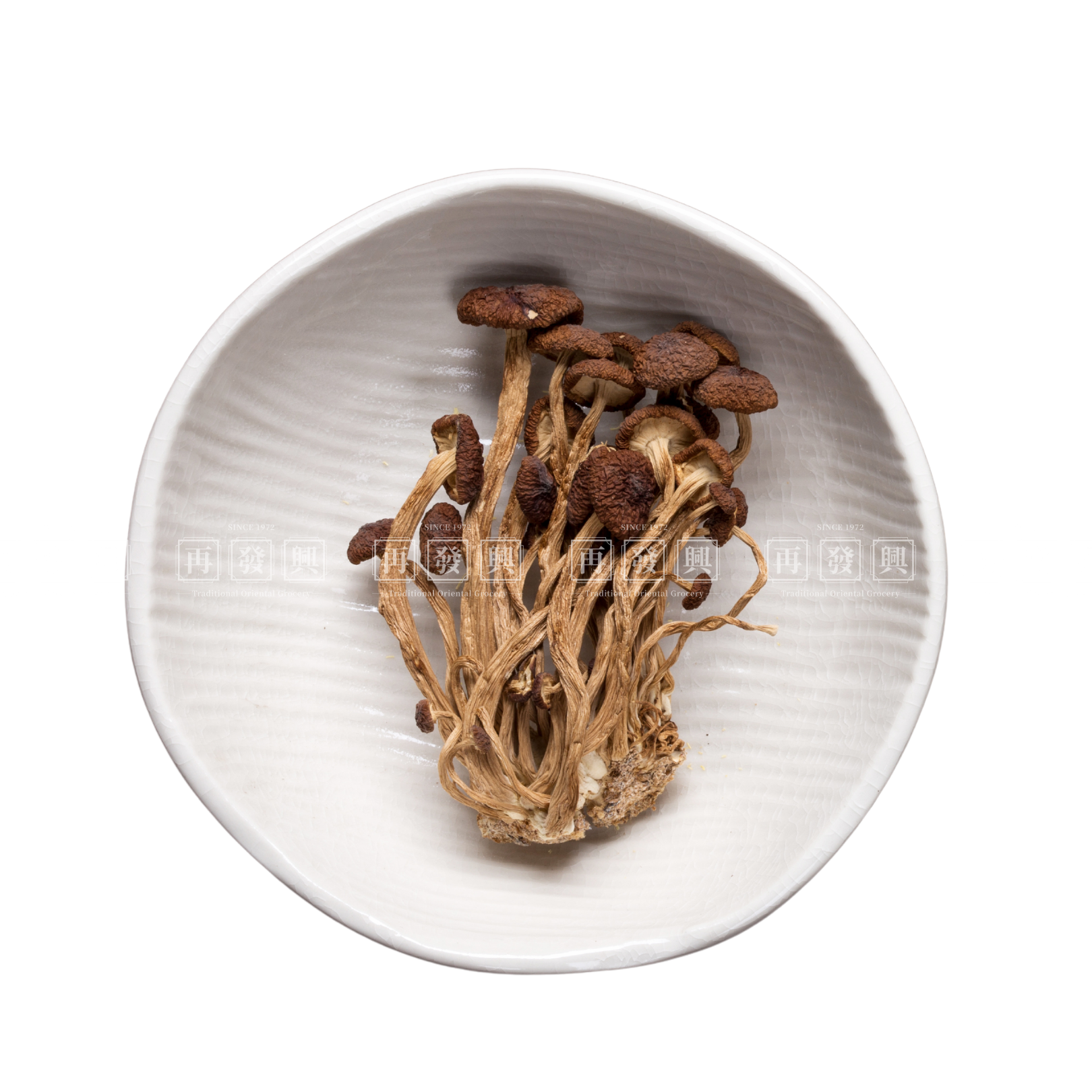 Dried Cha Shu Gu Mushroom