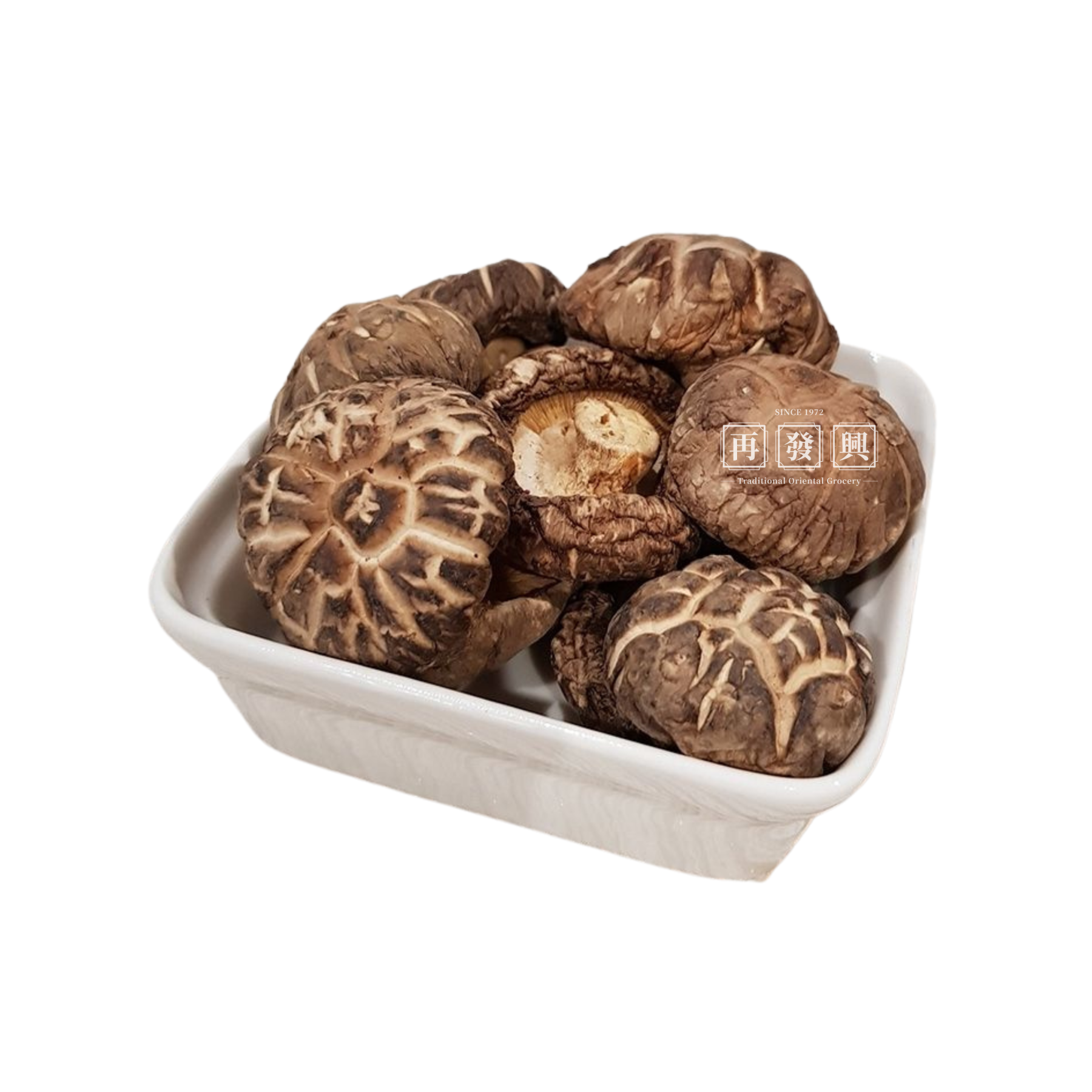 Chinese Mushroom 4-5cm