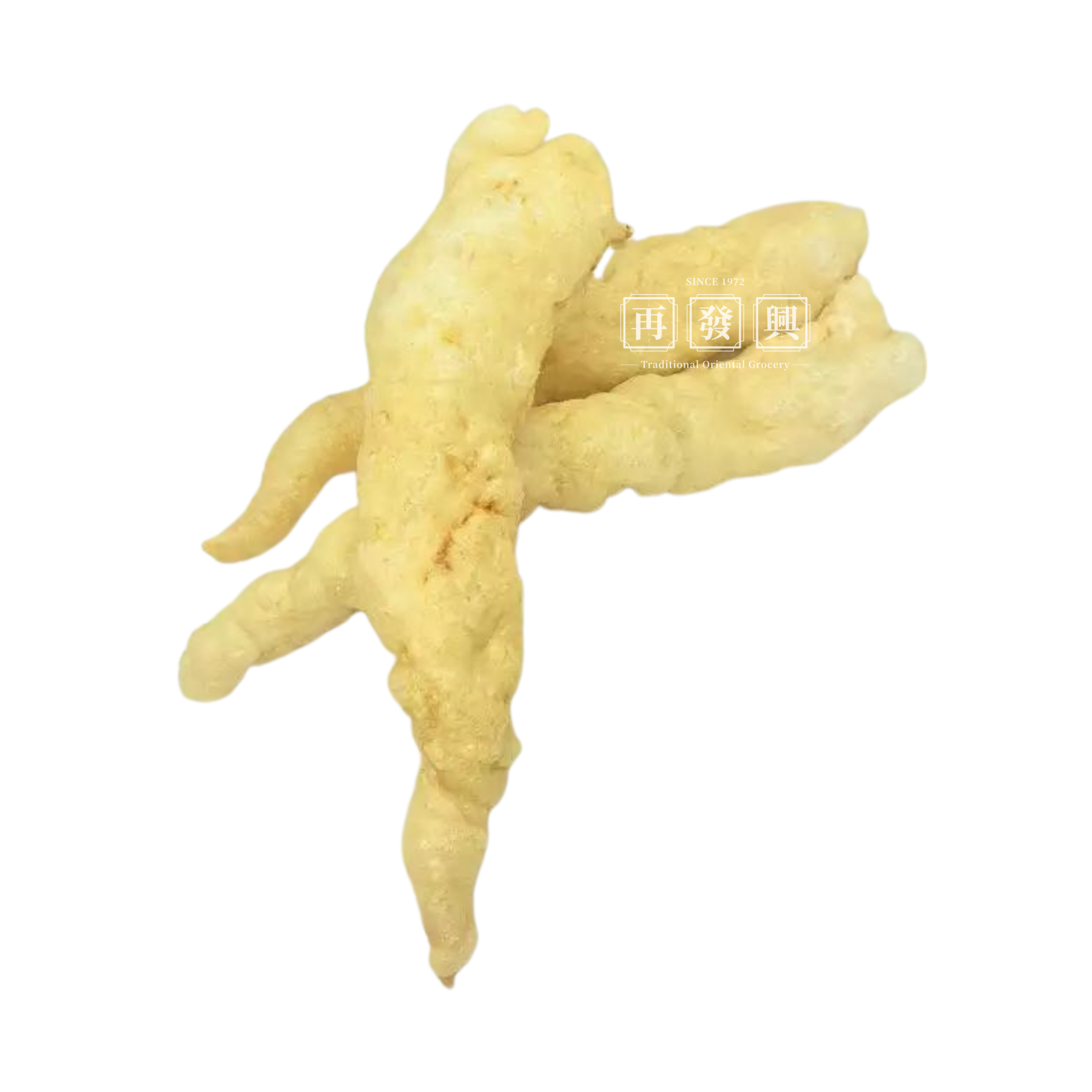 Fried Round Type Fish Maw 200g