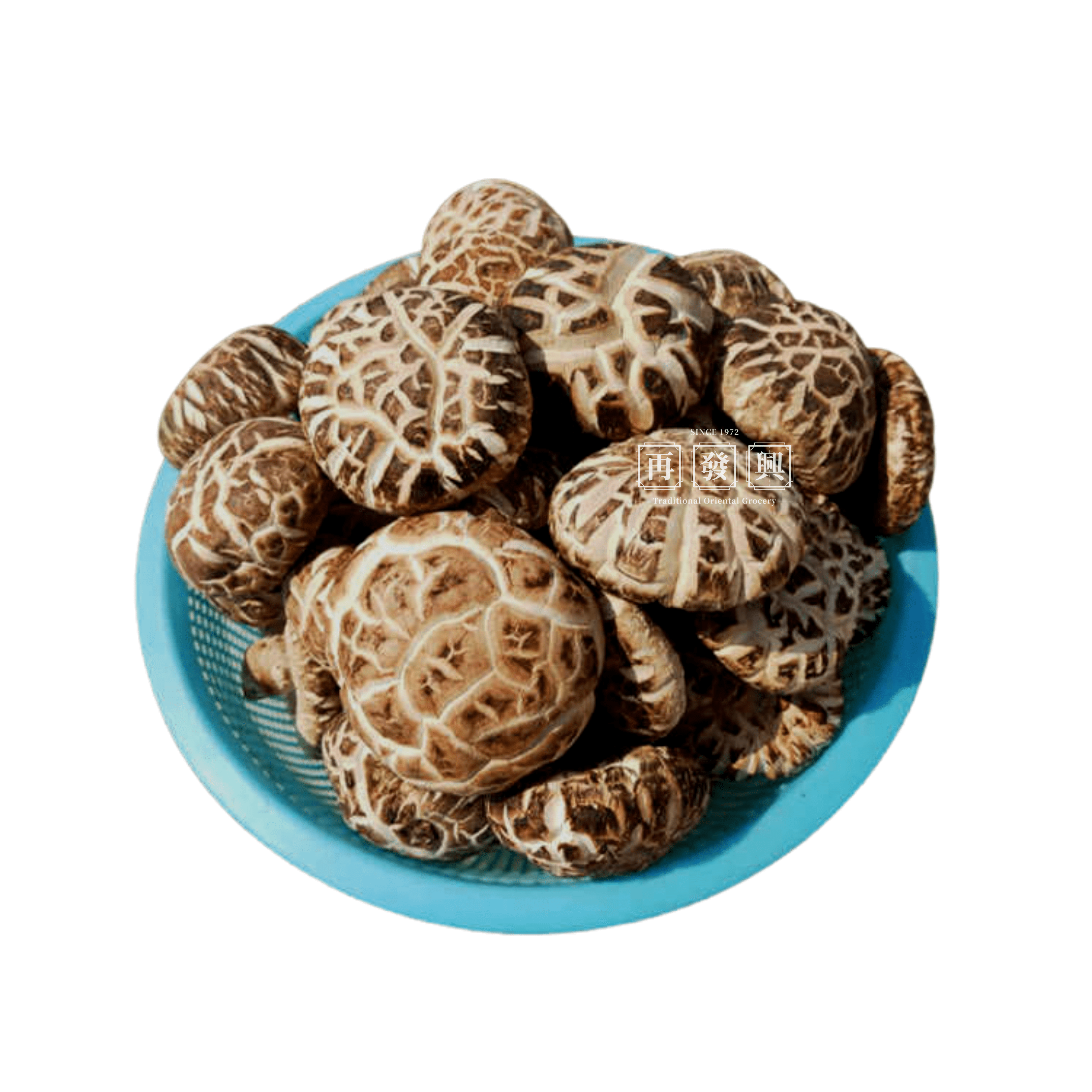 Hubei Jing Shan Premium Mushroom 550g
