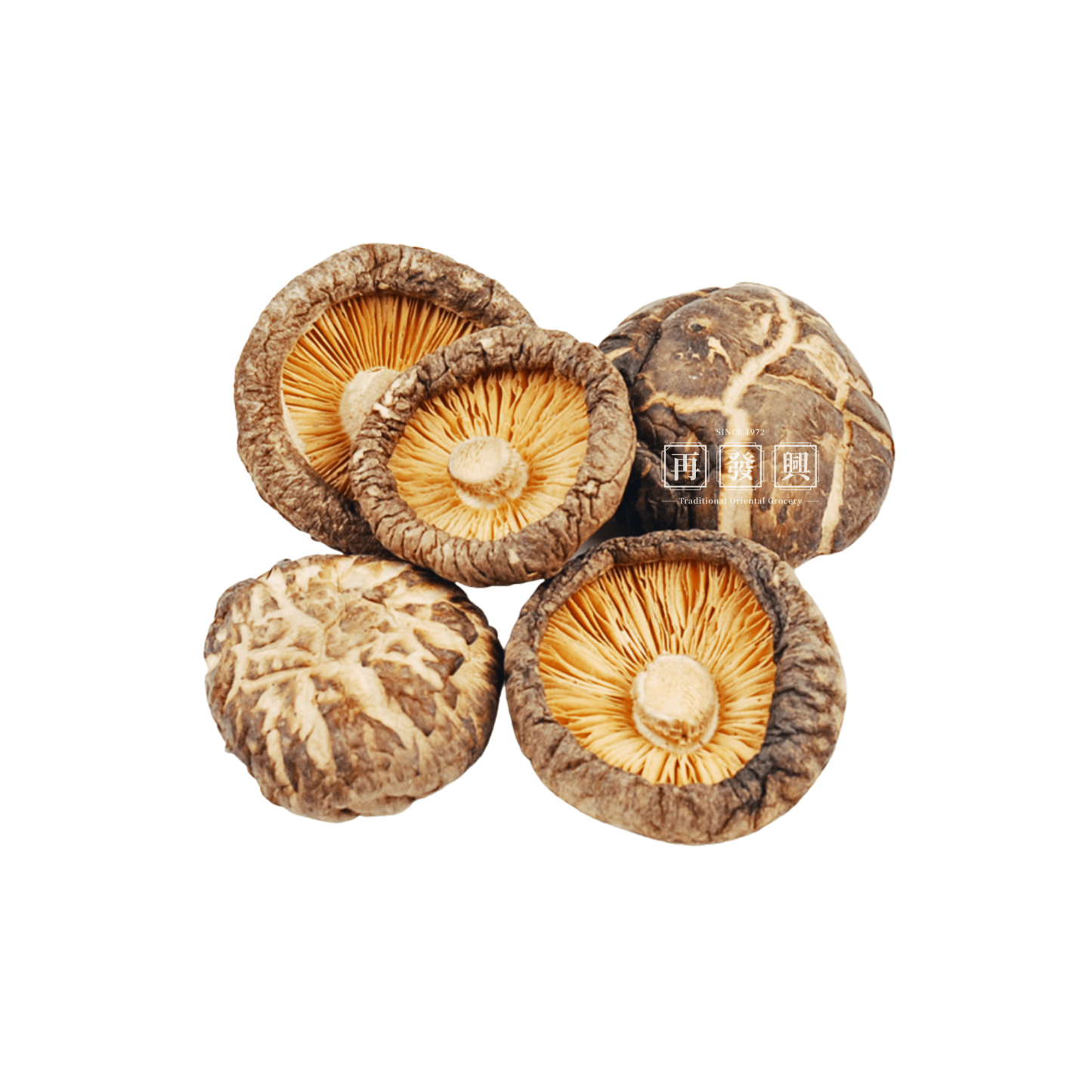 Wu Yi Shan Wild Mushroom 200g