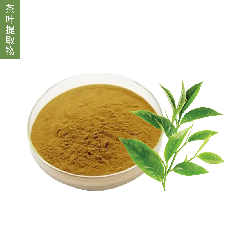 茶叶提取物-YINGFAI  INTERNATIONAL TRADE LIMITED