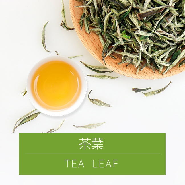 登皇茶叶-YINGFAI  INTERNATIONAL TRADE LIMITED