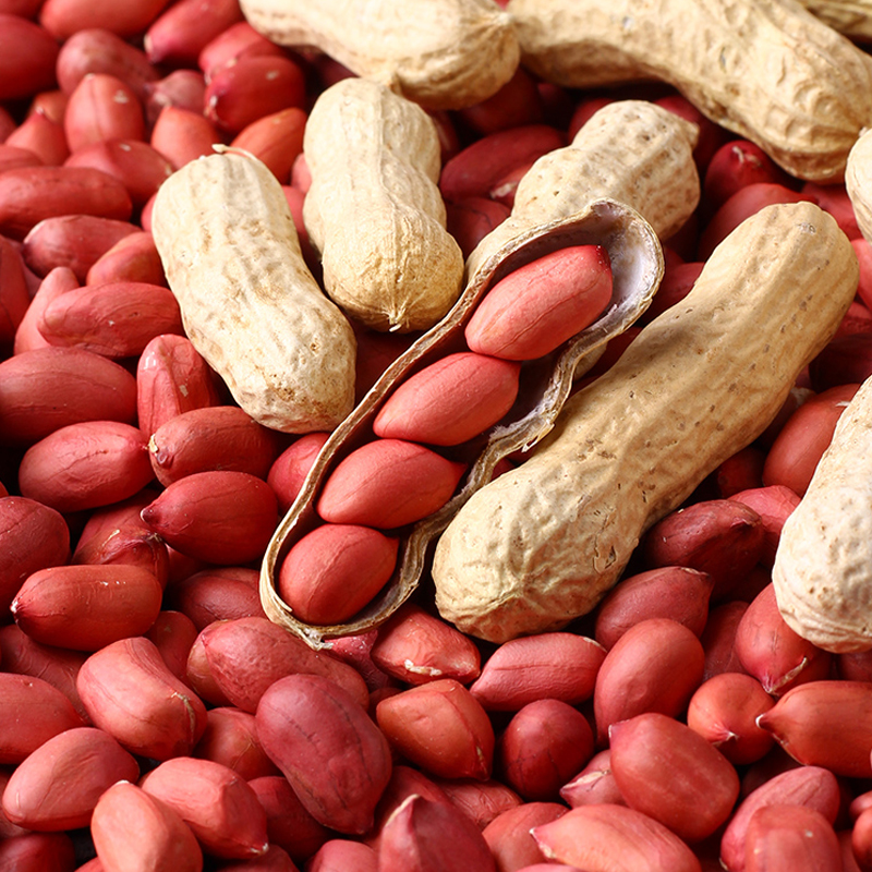 花生米-YINGFAI  INTERNATIONAL TRADE LIMITED