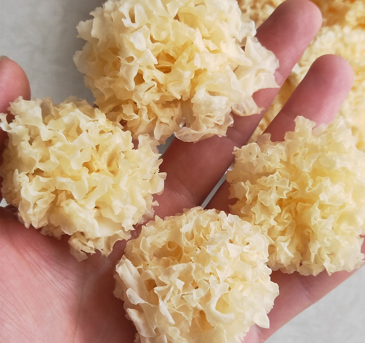 銀耳、白木耳-YINGFAI  INTERNATIONAL TRADE LIMITED