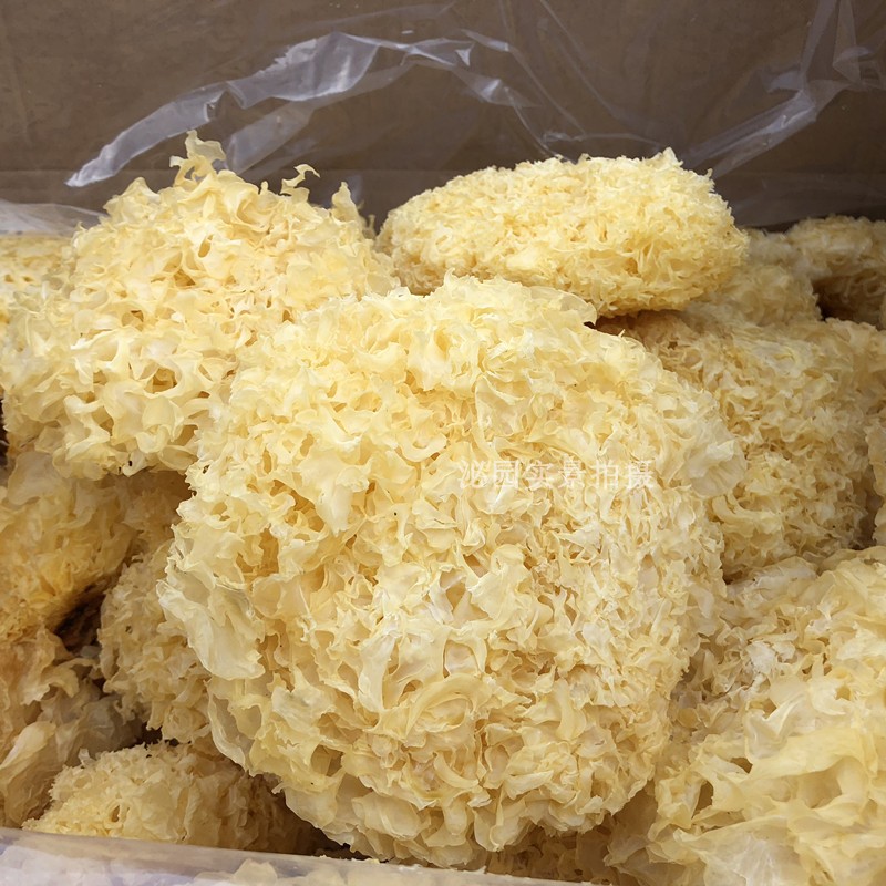 銀耳、白木耳-YINGFAI  INTERNATIONAL TRADE LIMITED