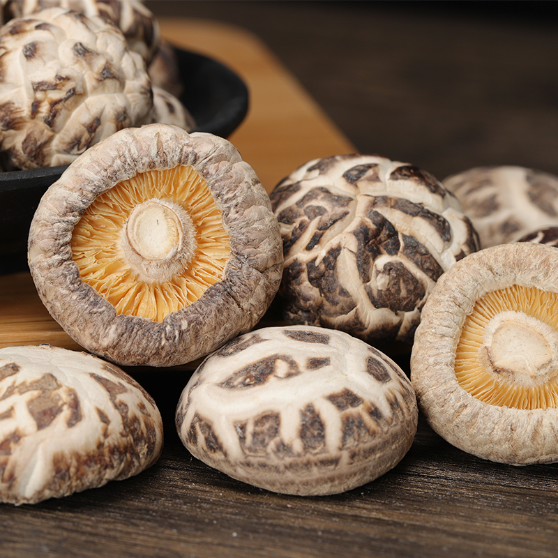 各種類乾香菇-YINGFAI  INTERNATIONAL TRADE LIMITED