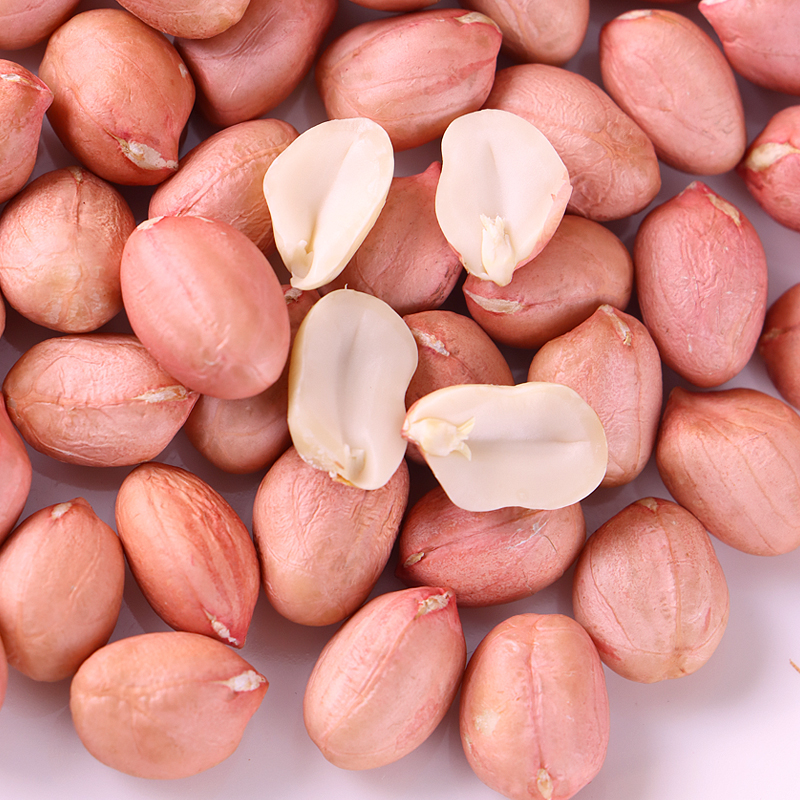 花生米-YINGFAI  INTERNATIONAL TRADE LIMITED