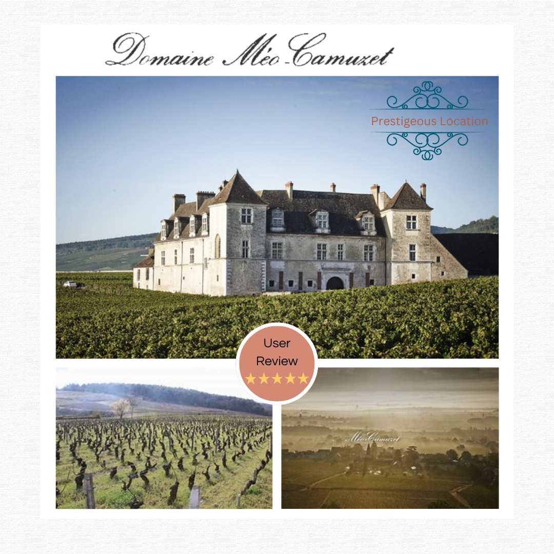 MÉOCAMUZET MOREY SAINT DENIS（2017）Ambrosia DailyType Red Country