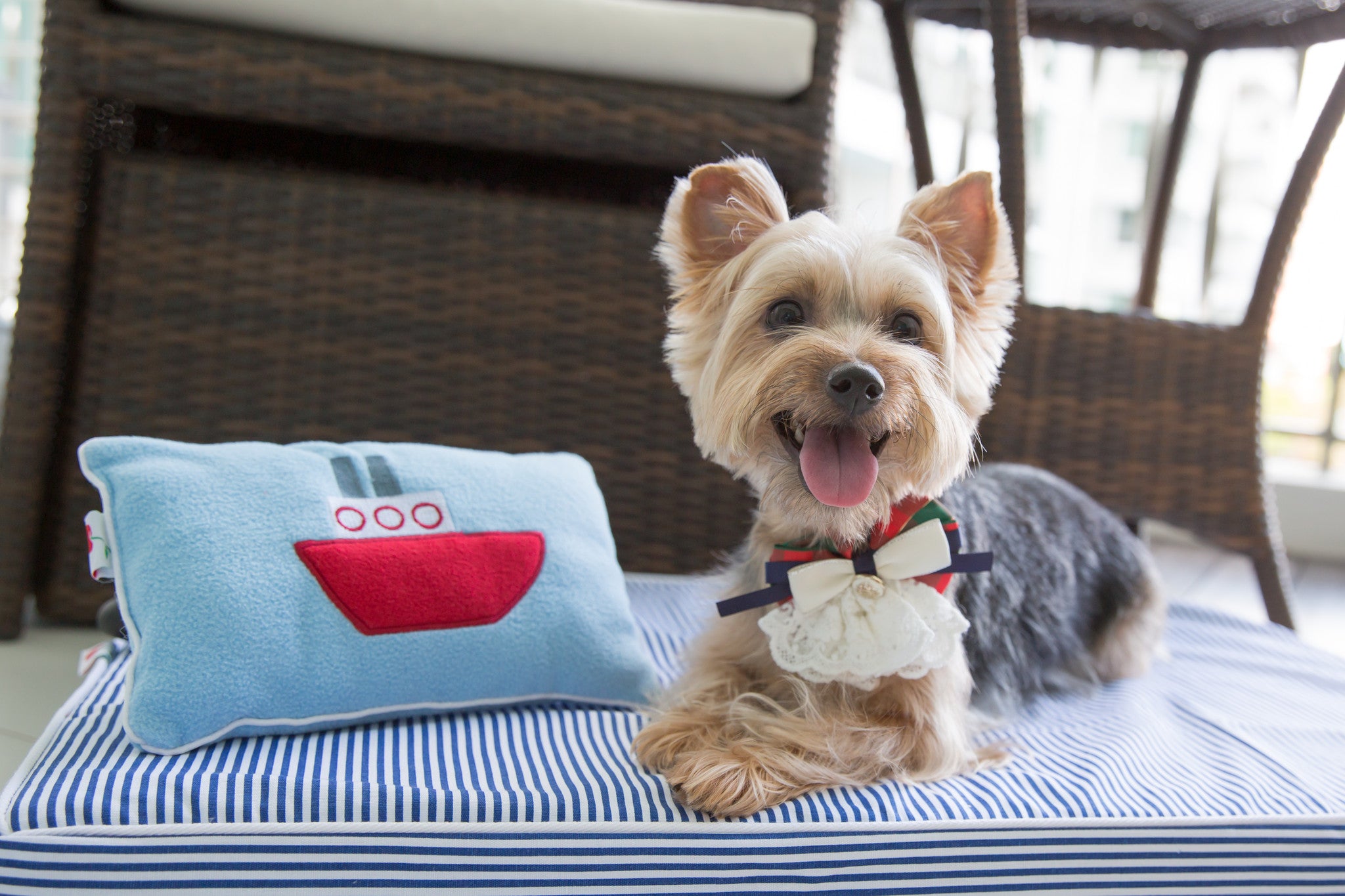 Blue Stripe Orthopedic Dog and Cat Bed - Little Cherry