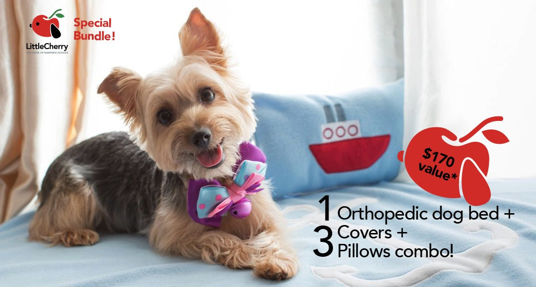(SPECIAL bundle!) Orthopedic Dog Bed + 3 Covers + 3 Pillows Combo! - Little Cherry