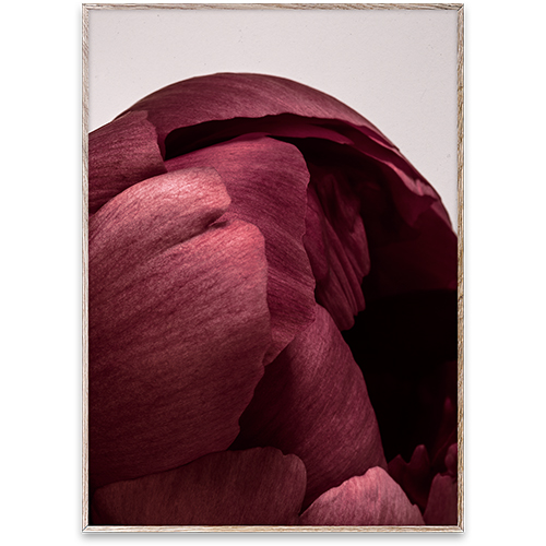 Paper Collective Wall Art Print Poster - Peonia 01