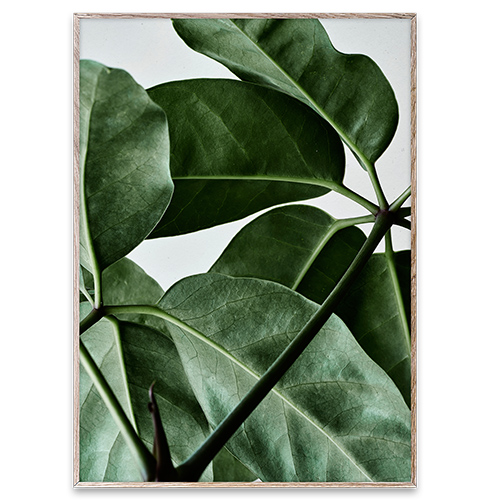 Paper Collective Wall Art Print Poster - Green Home 01