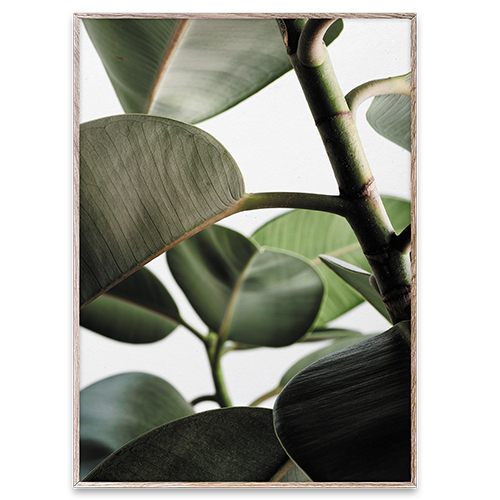 Paper Collective Wall Art Print Poster - Green Home 03