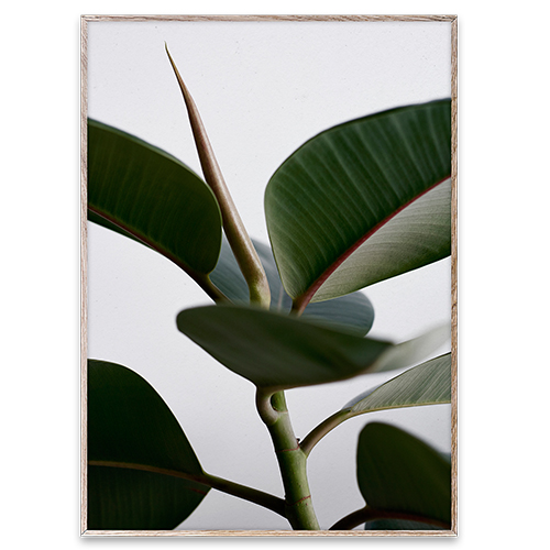 Paper Collective Wall Art Print Poster - Green Home 02