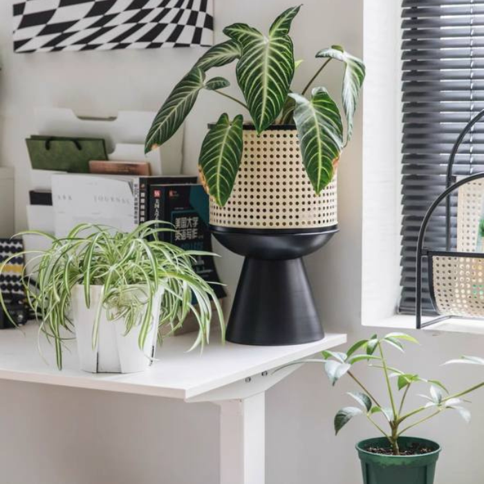 Rattan planter flower pot stand with black base