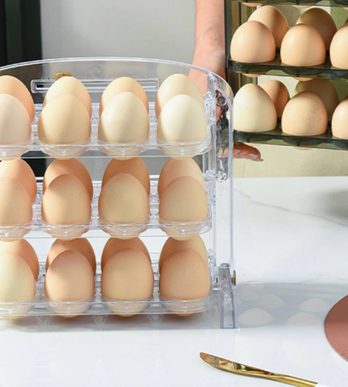 Egg storage organiser for refrigerator - in white