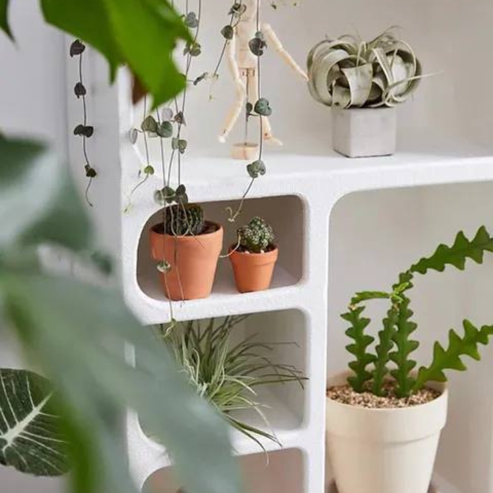 Soft Arc Minimalist Niche Storage rack decorative shelf