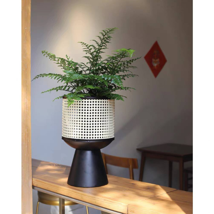 Rattan planter flower pot stand with black base