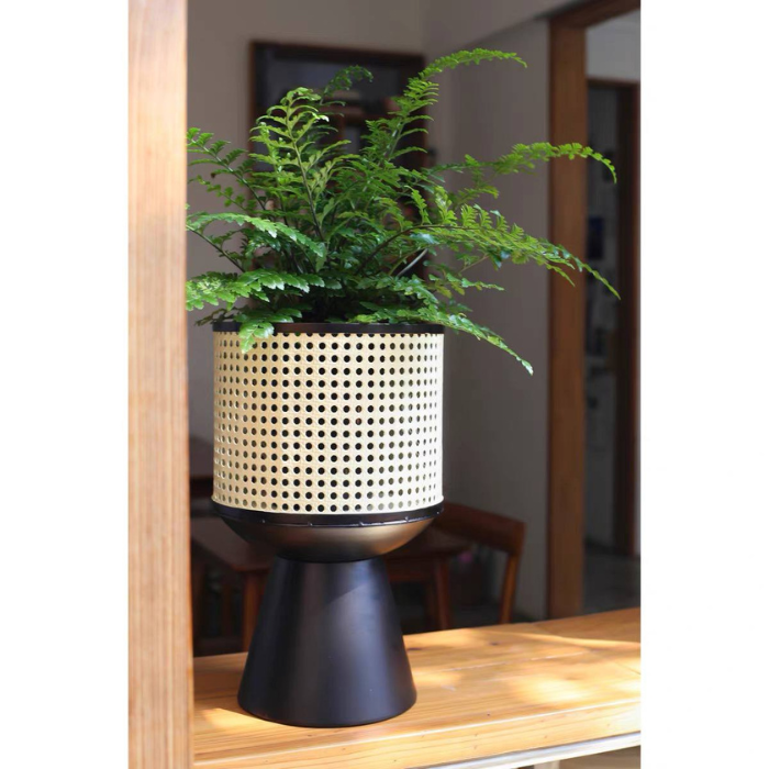 Rattan planter flower pot stand with black base