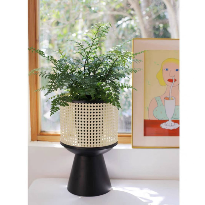 Rattan planter flower pot stand with black base