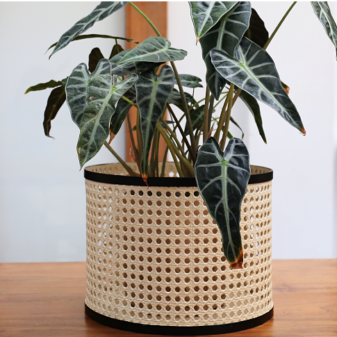 Rattan planter / flower pot stand