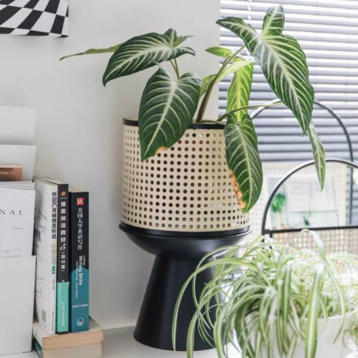 Rattan planter flower pot stand with black base