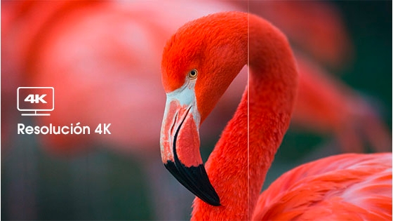 RESOLUCIÓN 4K