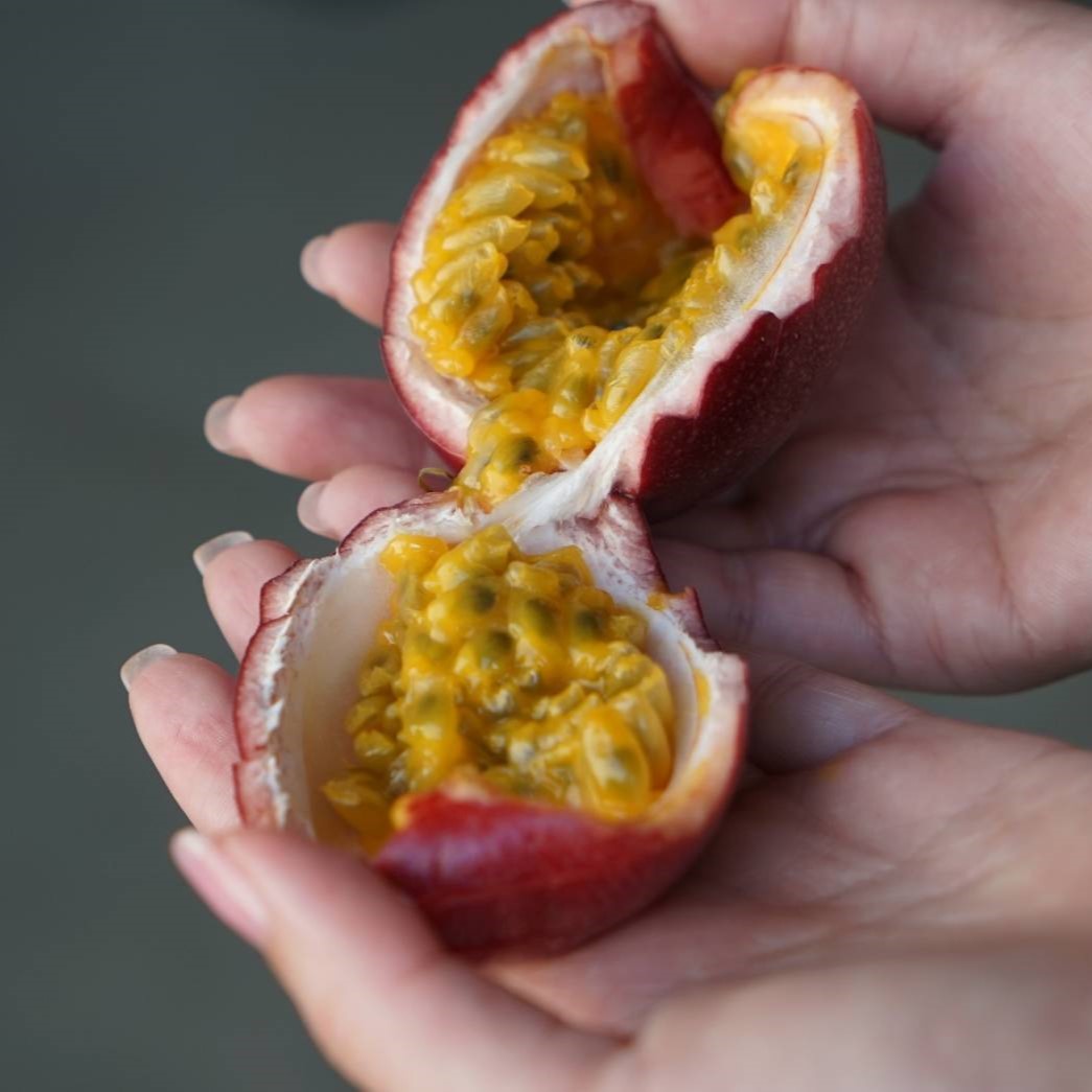 [Spring season Pre-order] Traditional Passion Fruit 安心傳統百香果