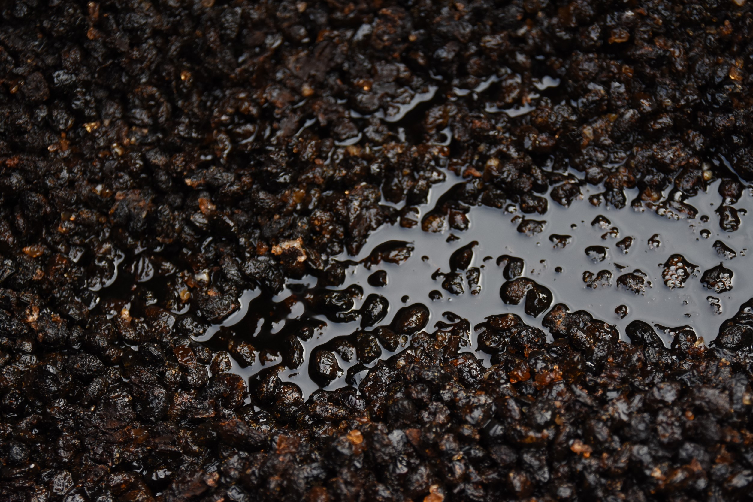 Wood roasted Traditional Soy Sauce 柴燒古早味醬油清 