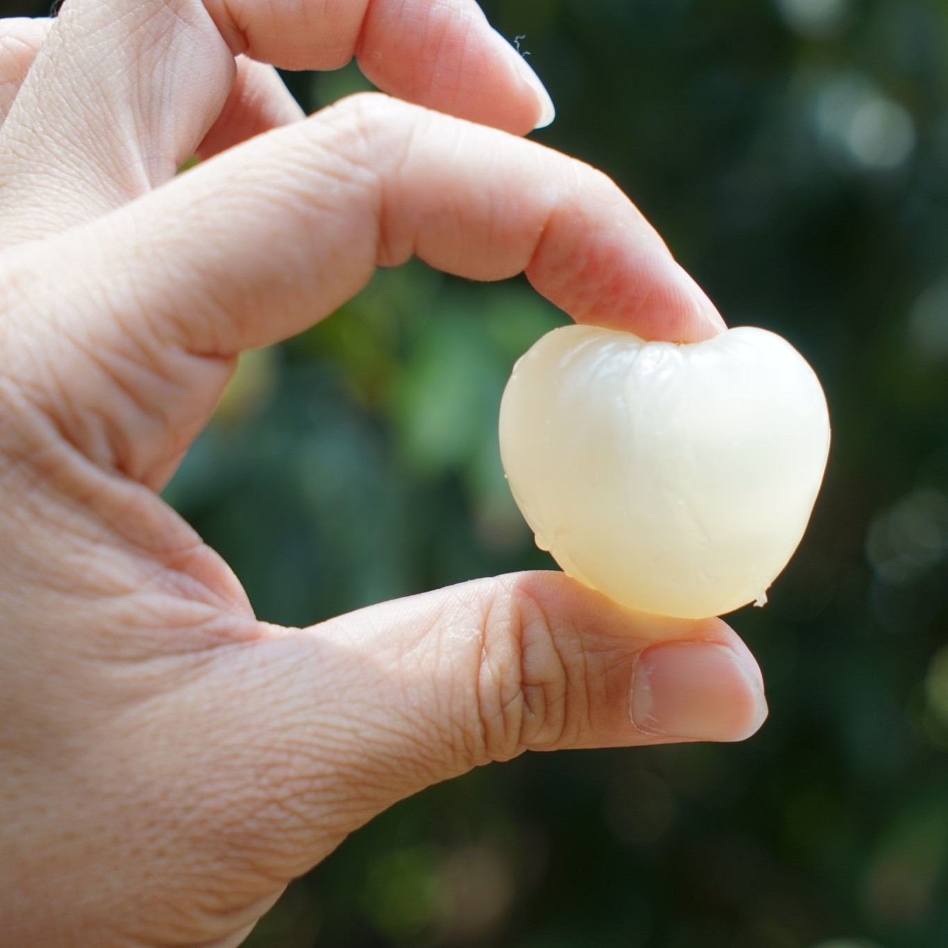 [Pre-order] Yuhebao Lychees 玉荷包