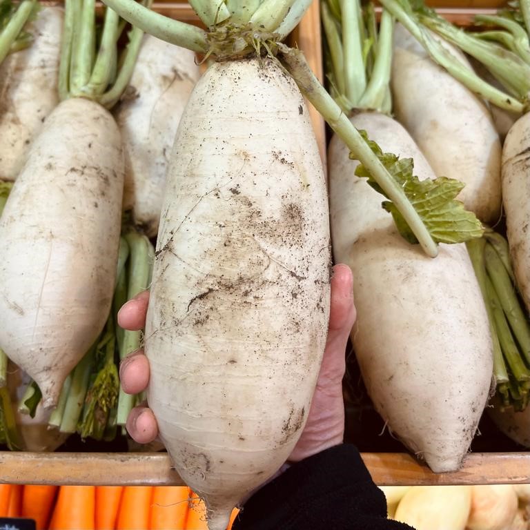 fresh daikon