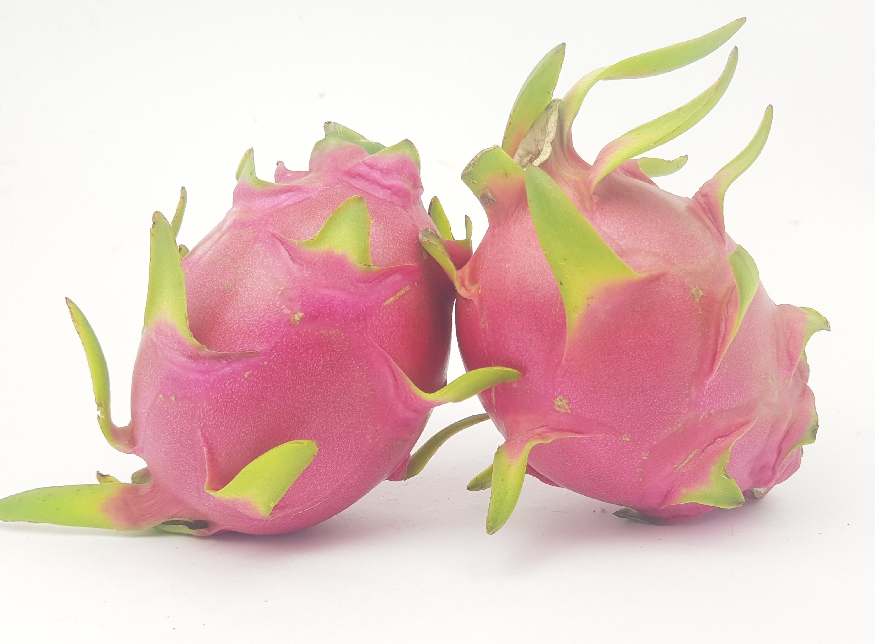 Vietnam White Dragon Fruit (2 pcs)