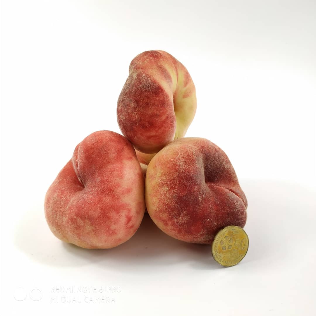 spanish donut peach creamy