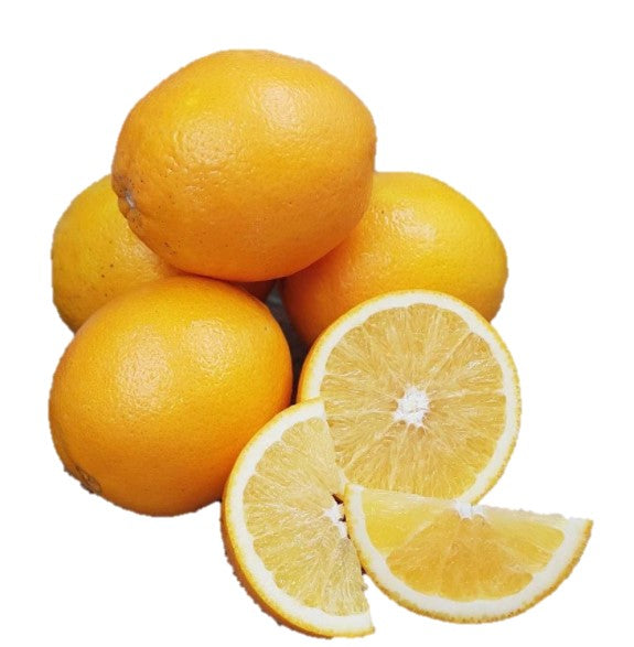 Egypt Navel Oranges MAFA - 5 PCS  (XL)