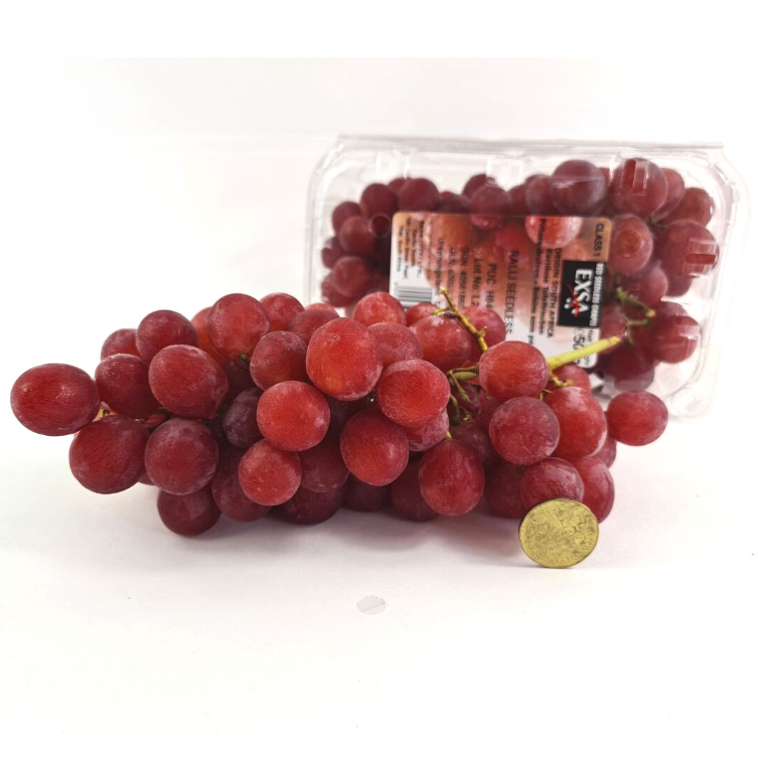 South Africa Arra 13 Red Seedless Grapes