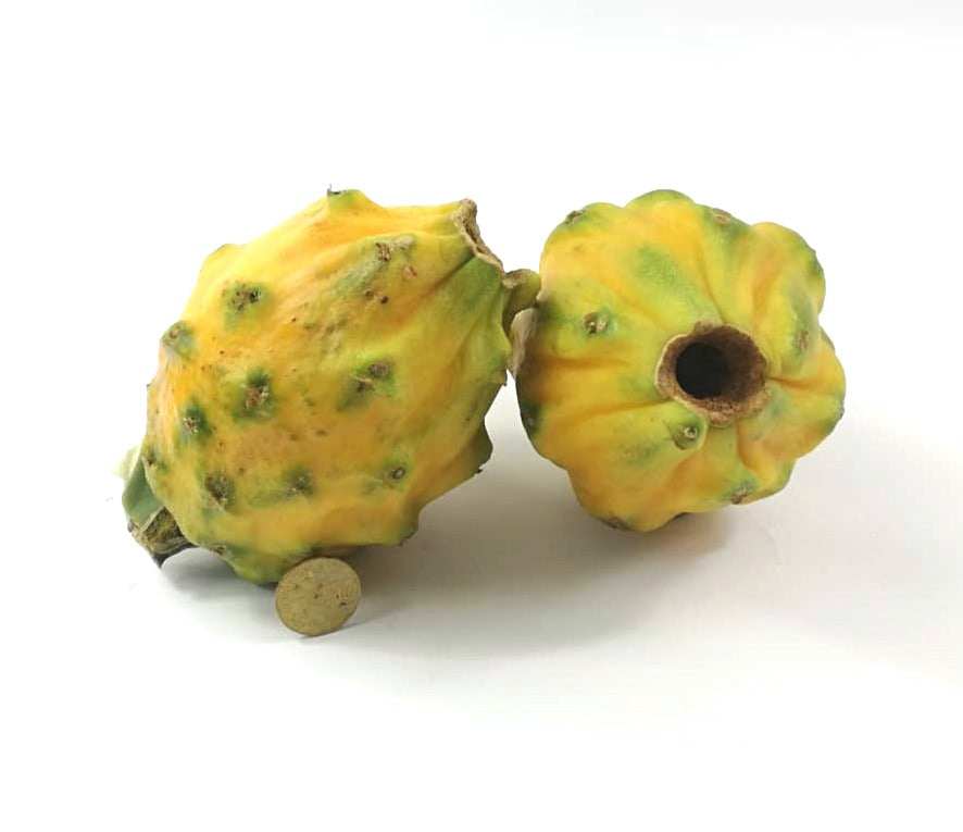 Ecuador Yellow Dragon Fruit / Pitaya