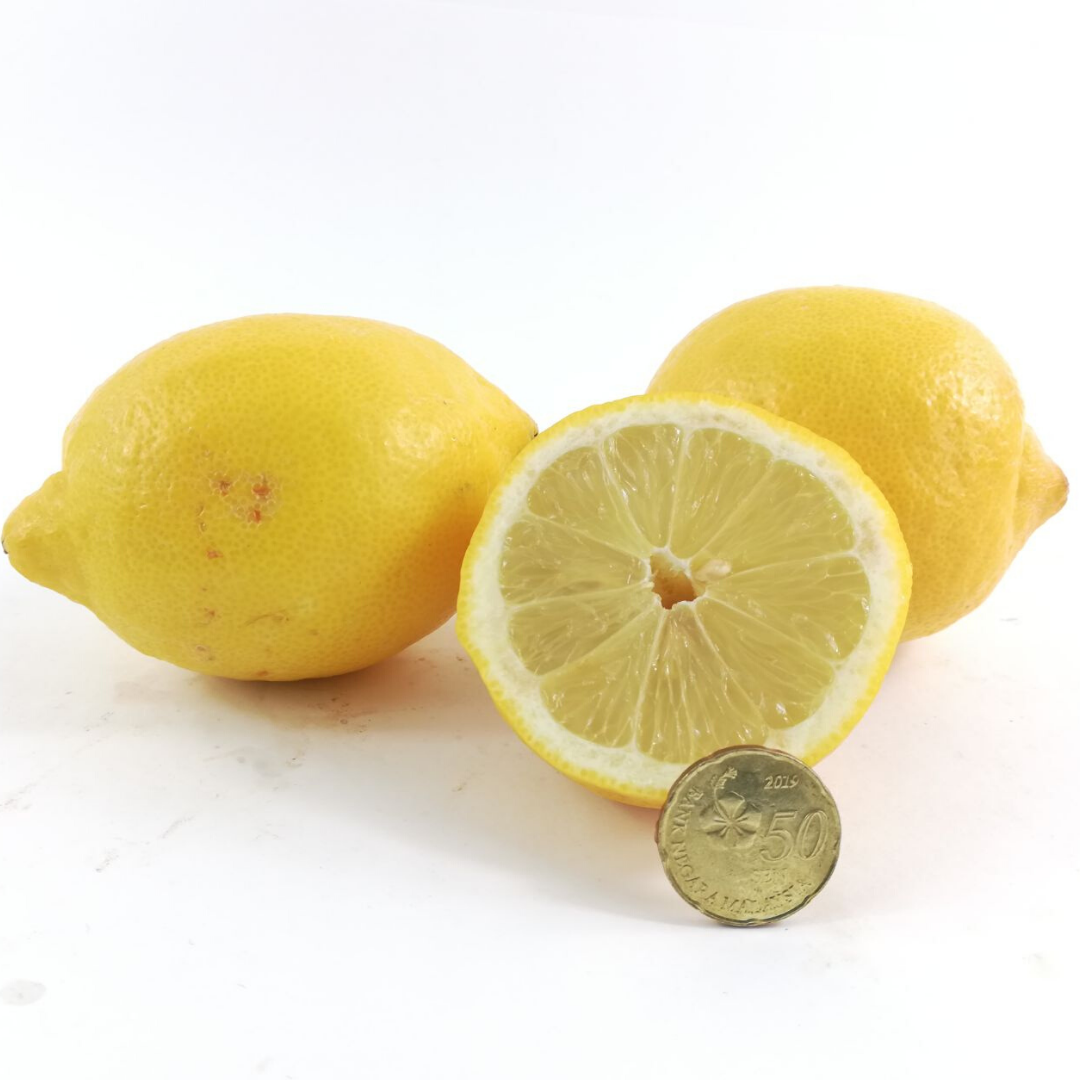 SA Lemon (6 pcs)
