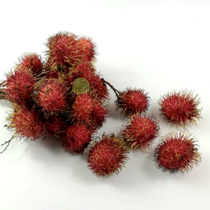 Thailand Fresh Rambutan (1kg)