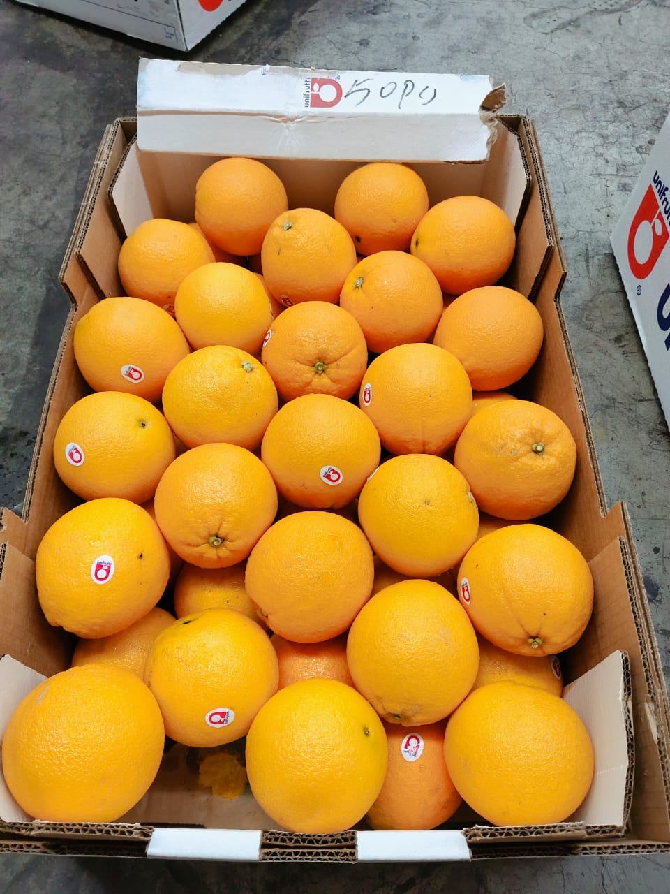 South Africa Unifrutti Cambria Navel Orange (1 CTN)