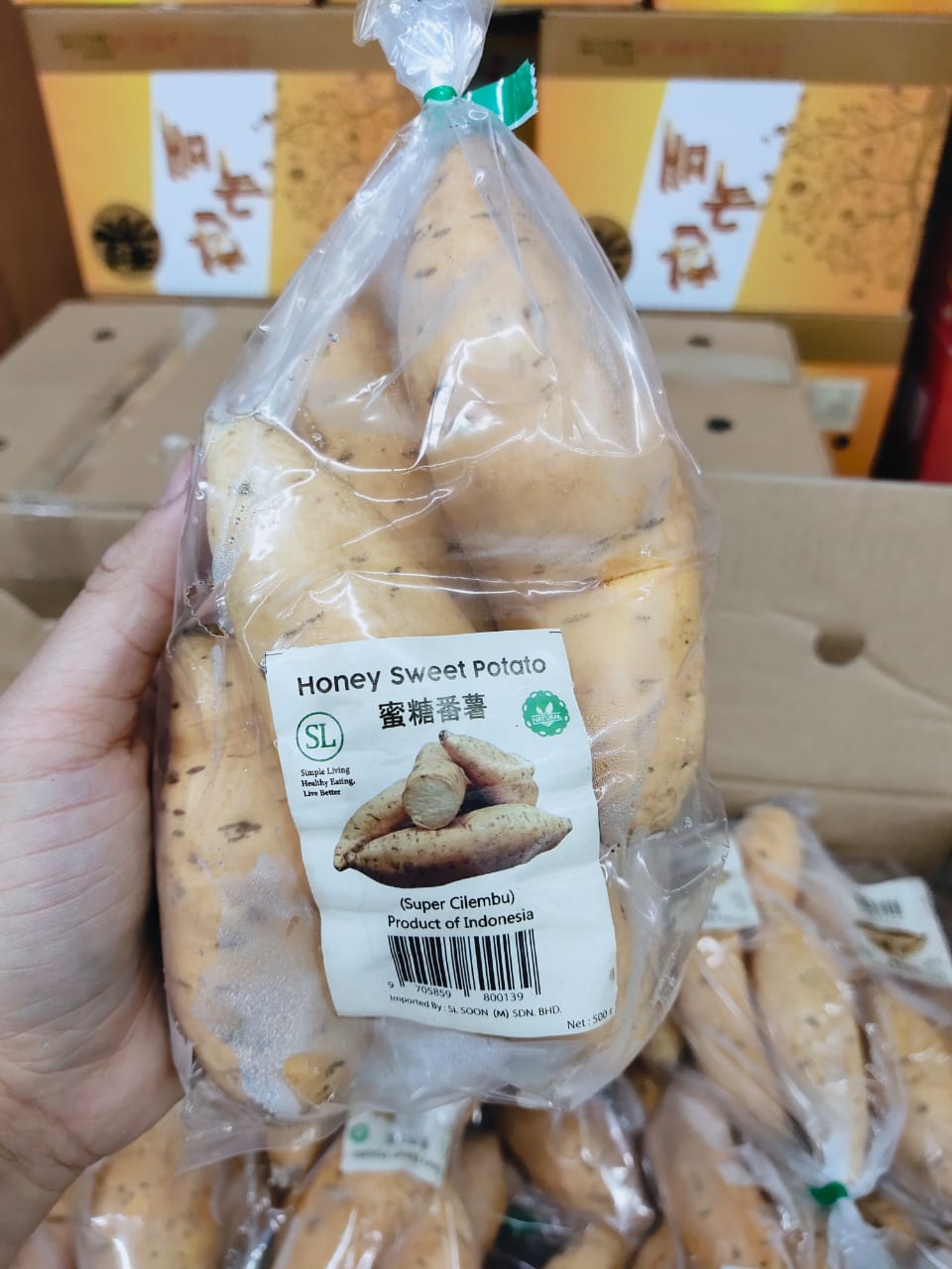 Indonesia Honey Sweet Potato (Yellow) 