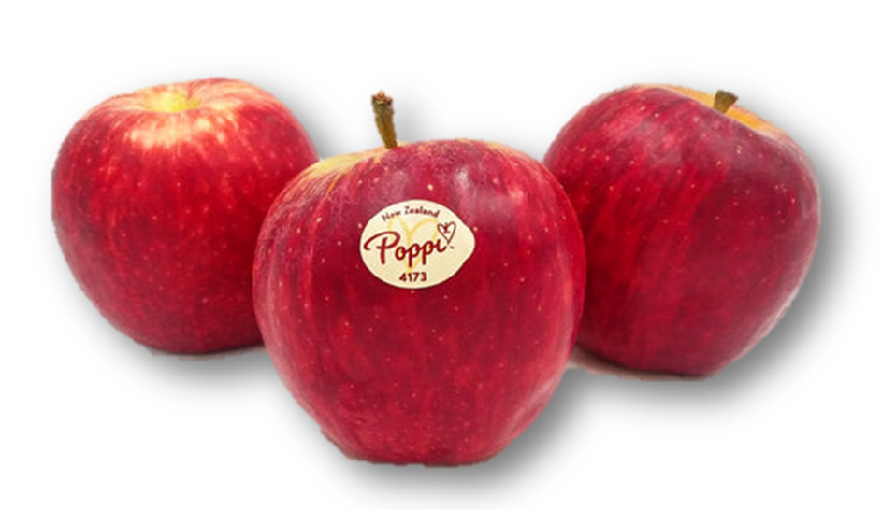 New Zealand Jugala 'Poppi' Apple (8 pcs)