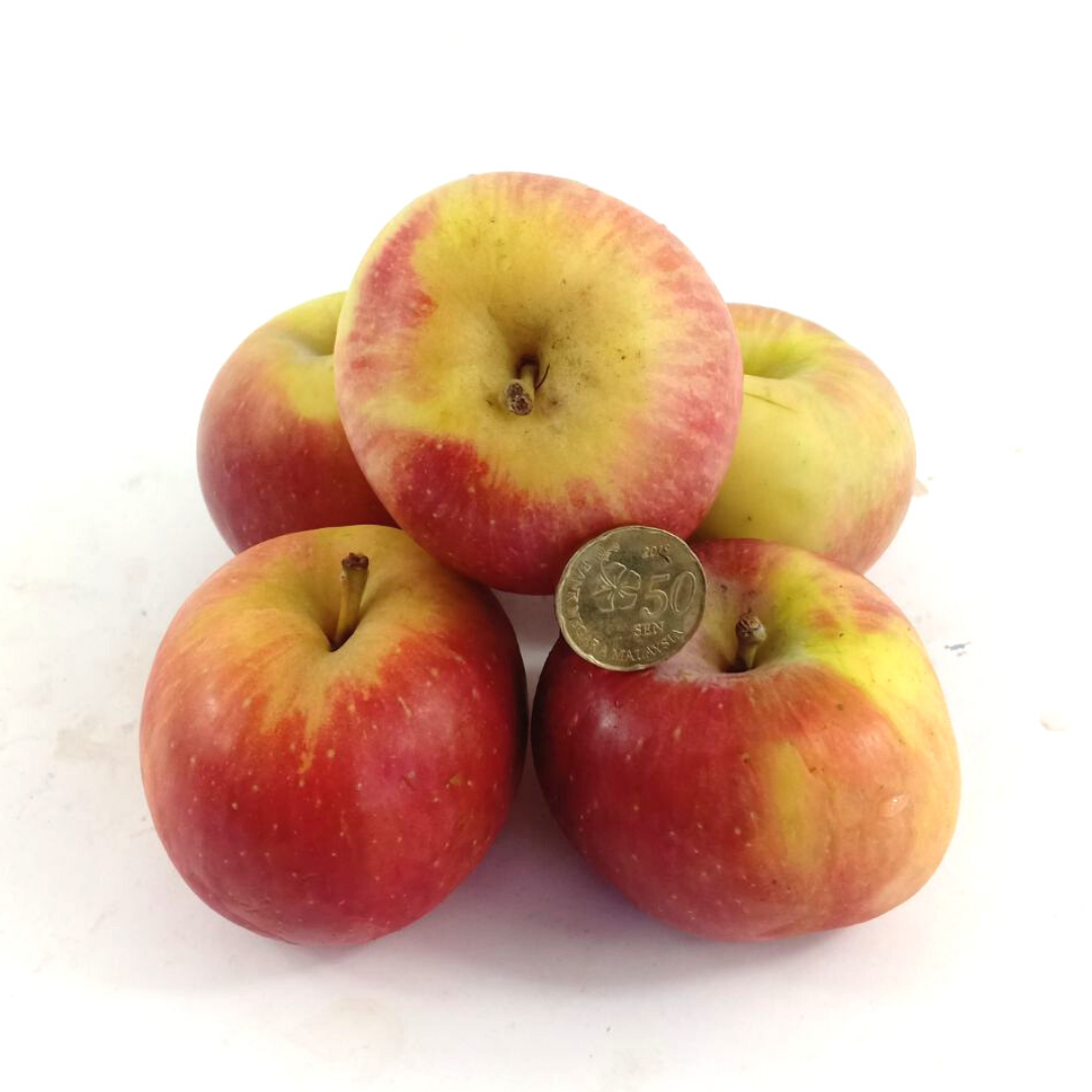 SA Red Fuji Honey Apples 8 pcs