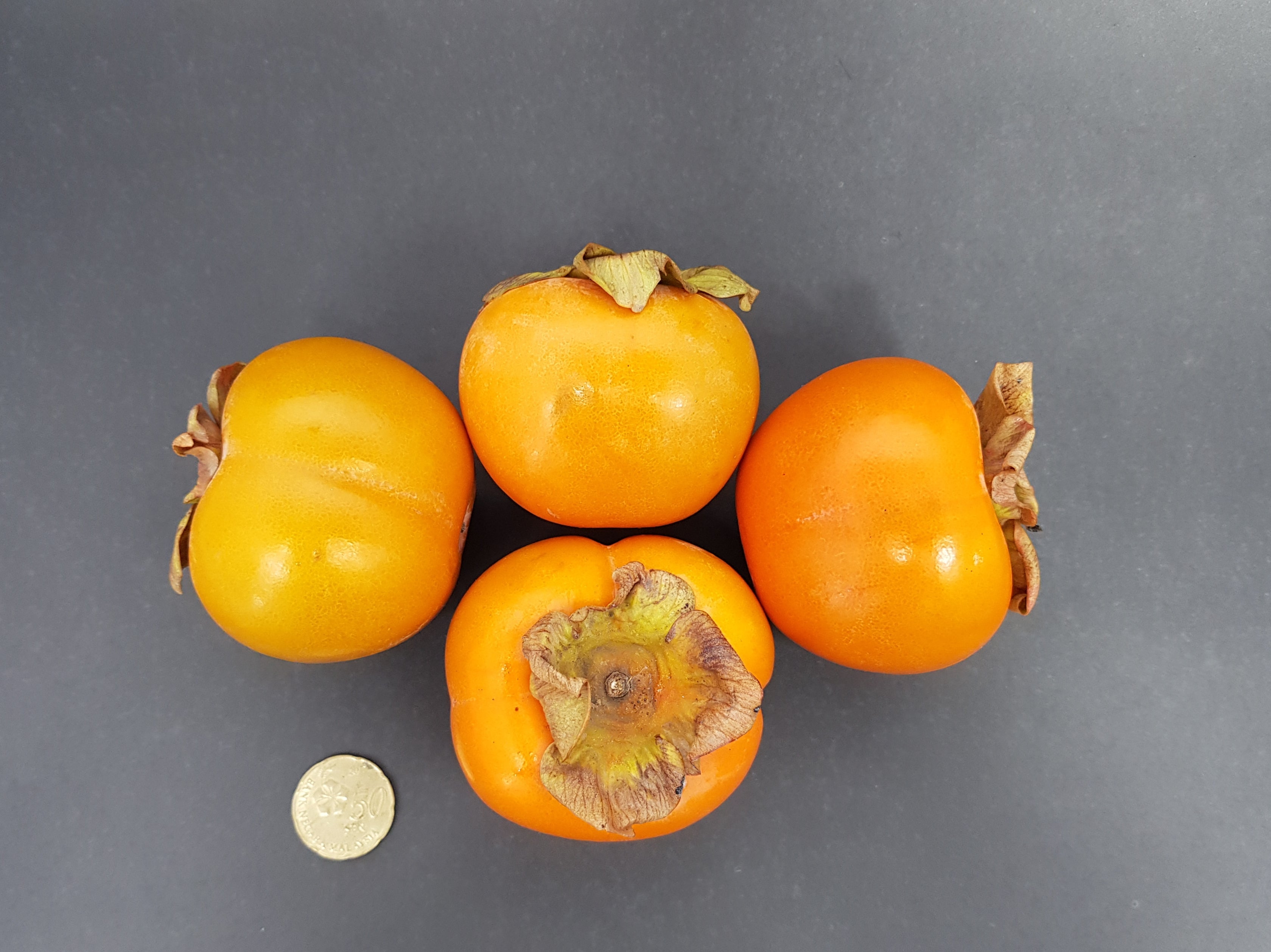 S. African Sharon Persimmons 900g