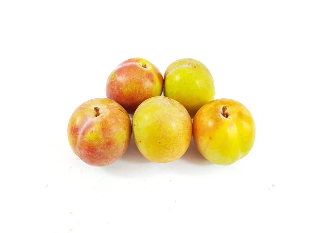 Australian October Sun Plums