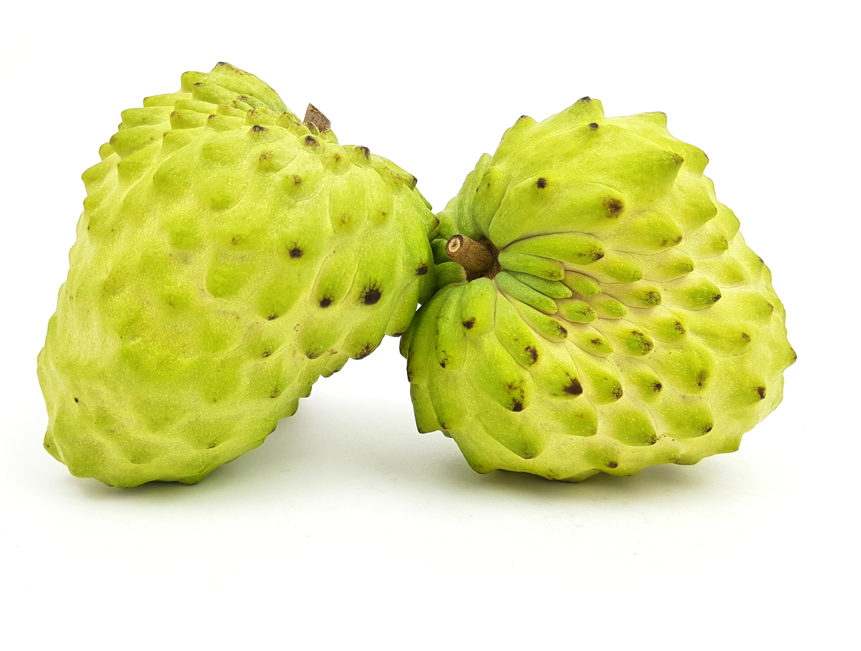 Thailand Nona Custard Apple
